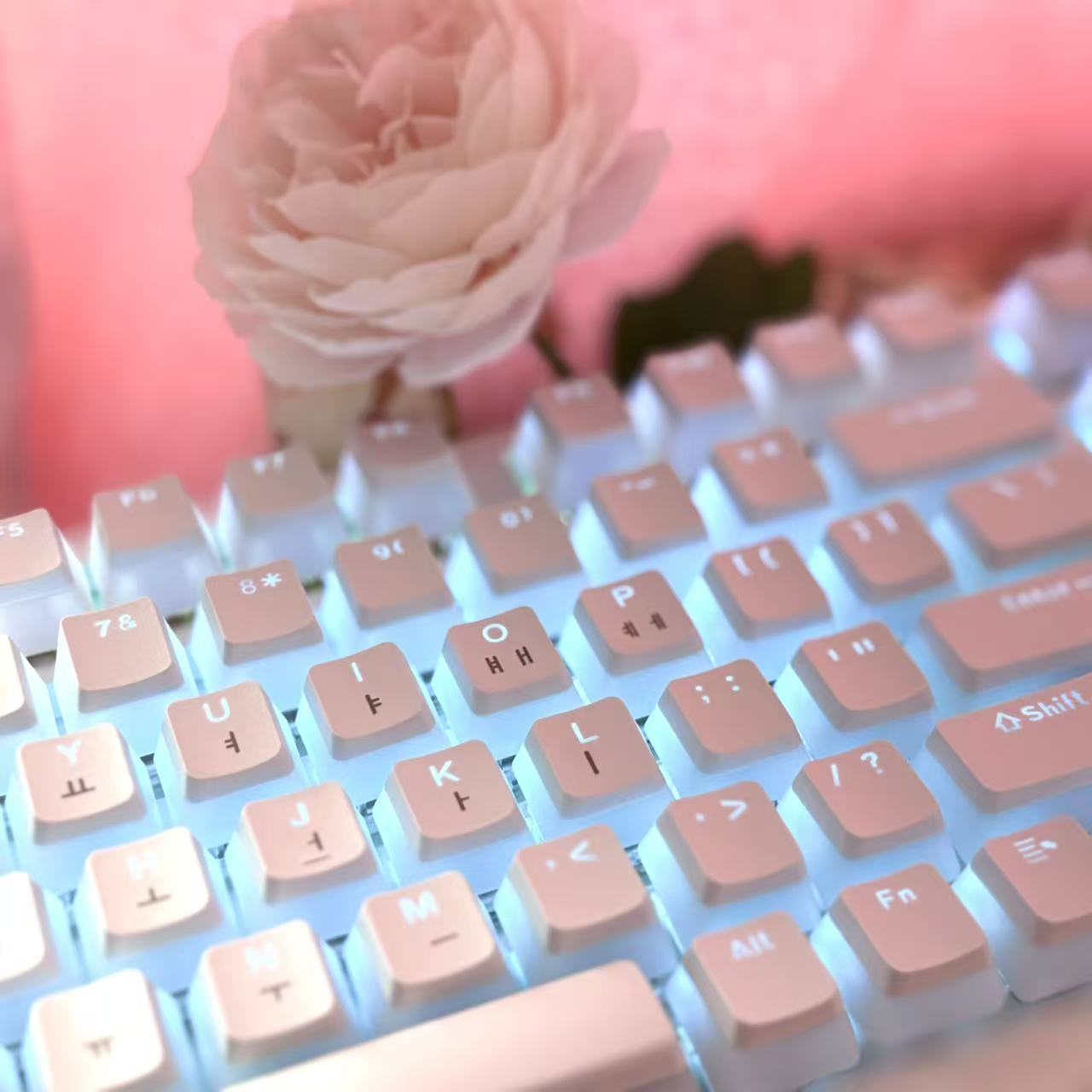 Hangul Keycap الكورية تخطيط Ke - مراجعة Gaming Accessories Aesthetic وسعره